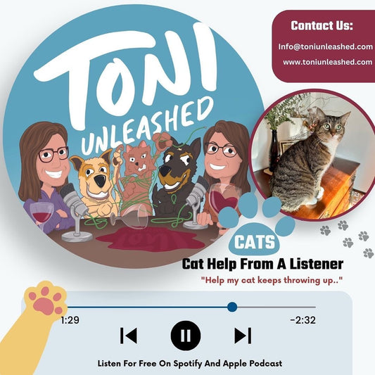 Episode 35: Cat Help From A Listener