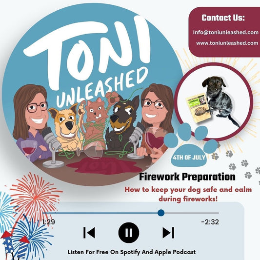 37: Fireworks, Thunderstorms, Anxiety