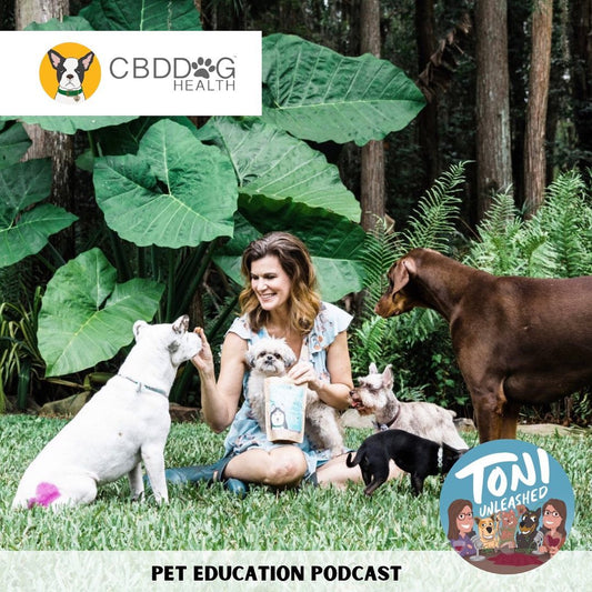 Episode 38: Interview with CBD Dog Health