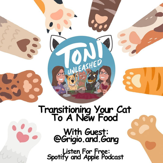 Episode 34: Transitioning a Cat To A New Food