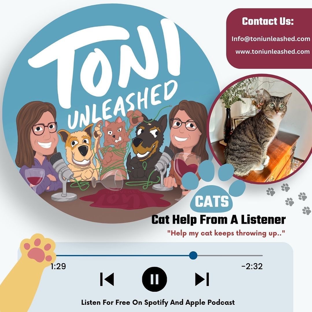 Episode 35: Cat Help From A Listener
